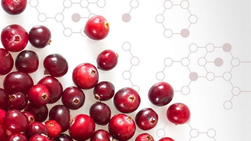 Utiva vs. Cranberry Pill - Utiva USA