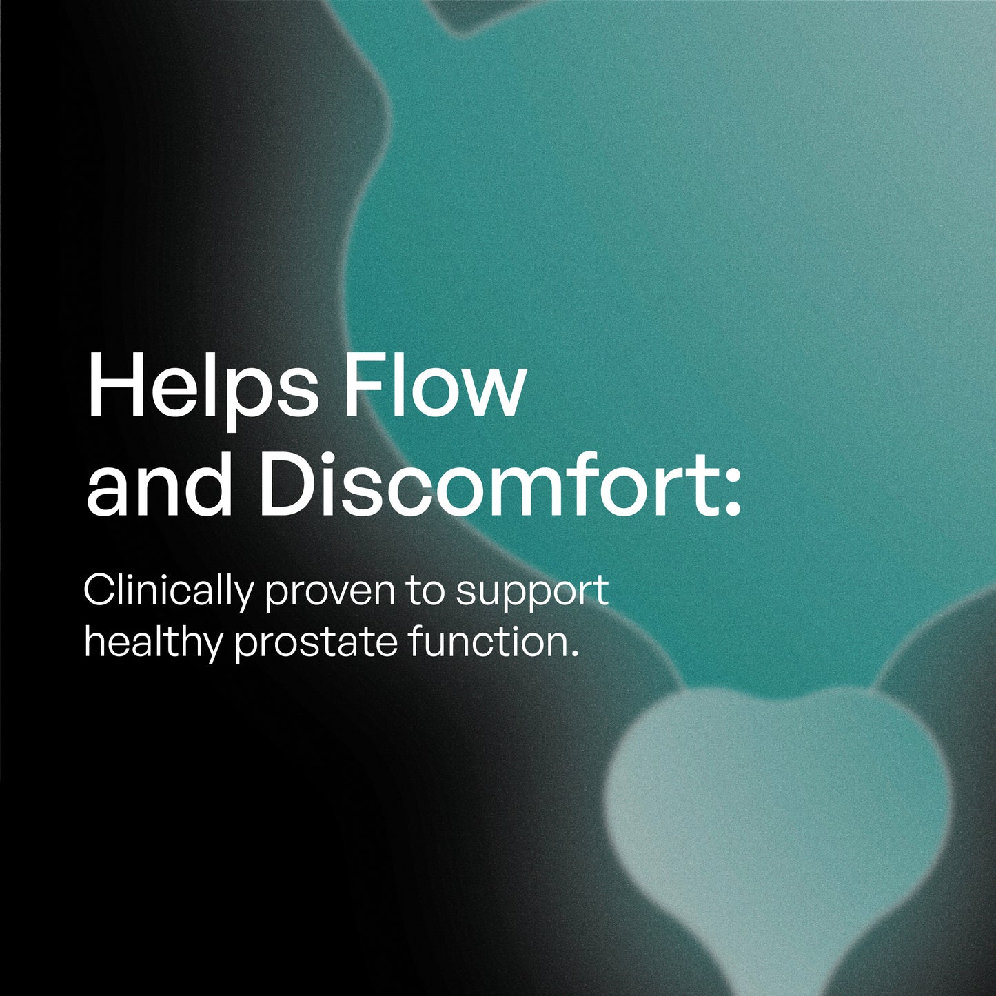 Prostate Health Supplement