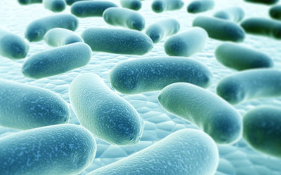 Biofilms: The Not-So-Secret Cause of Chronic UTIs