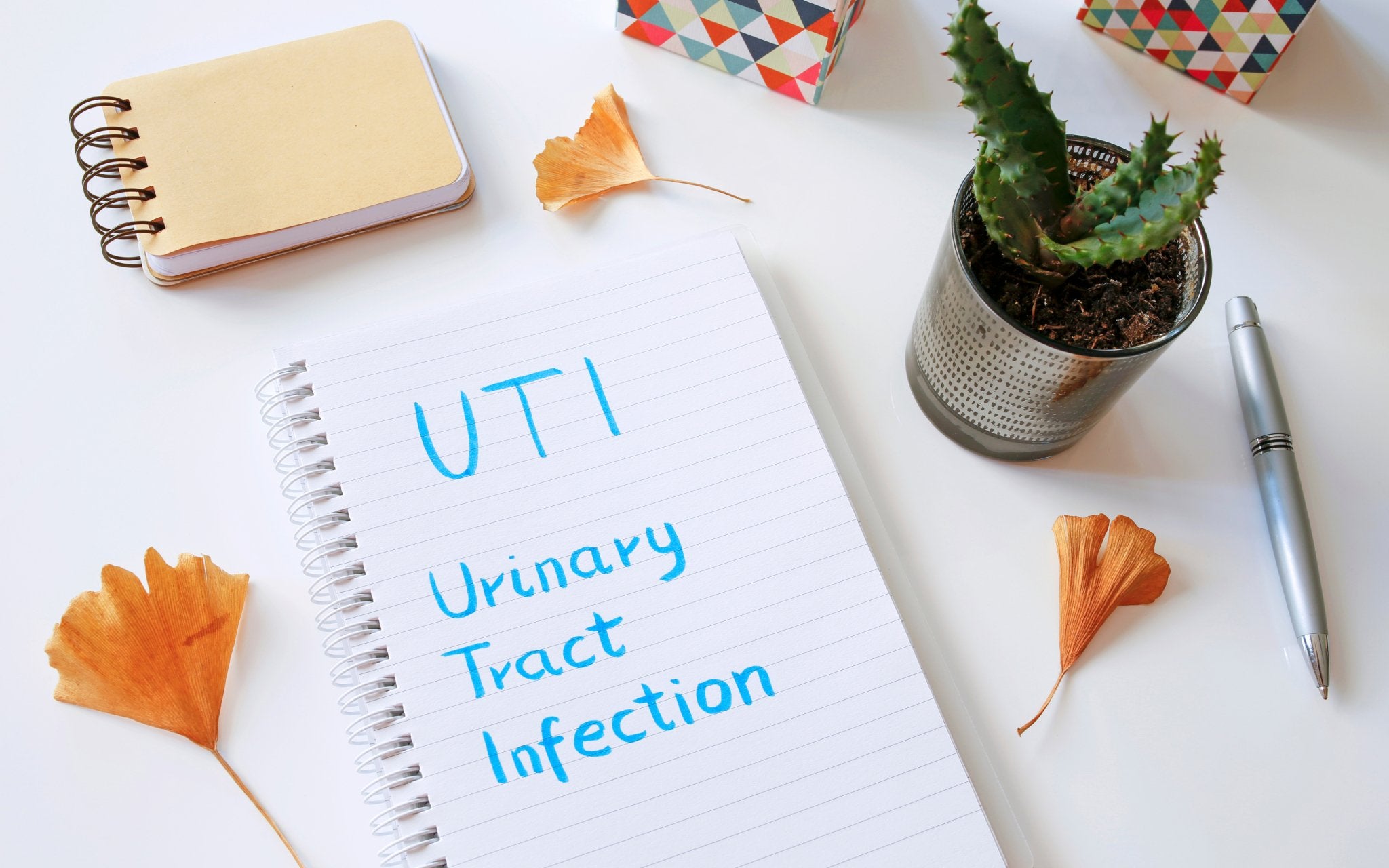 Listen Up Ladies: 9 Things Every Woman Should Know About UTIs - Utiva USA