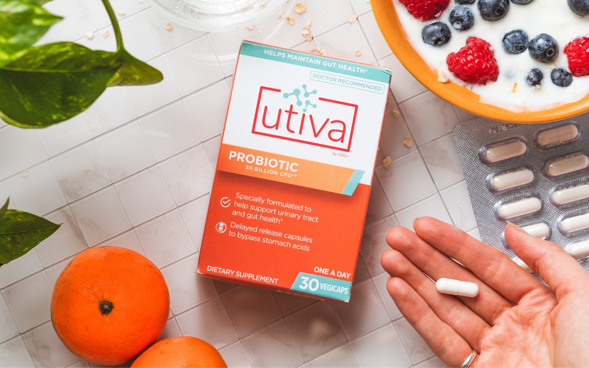 Why should you take a probiotic with Lactobacillus to prevent UTIs? - Utiva USA