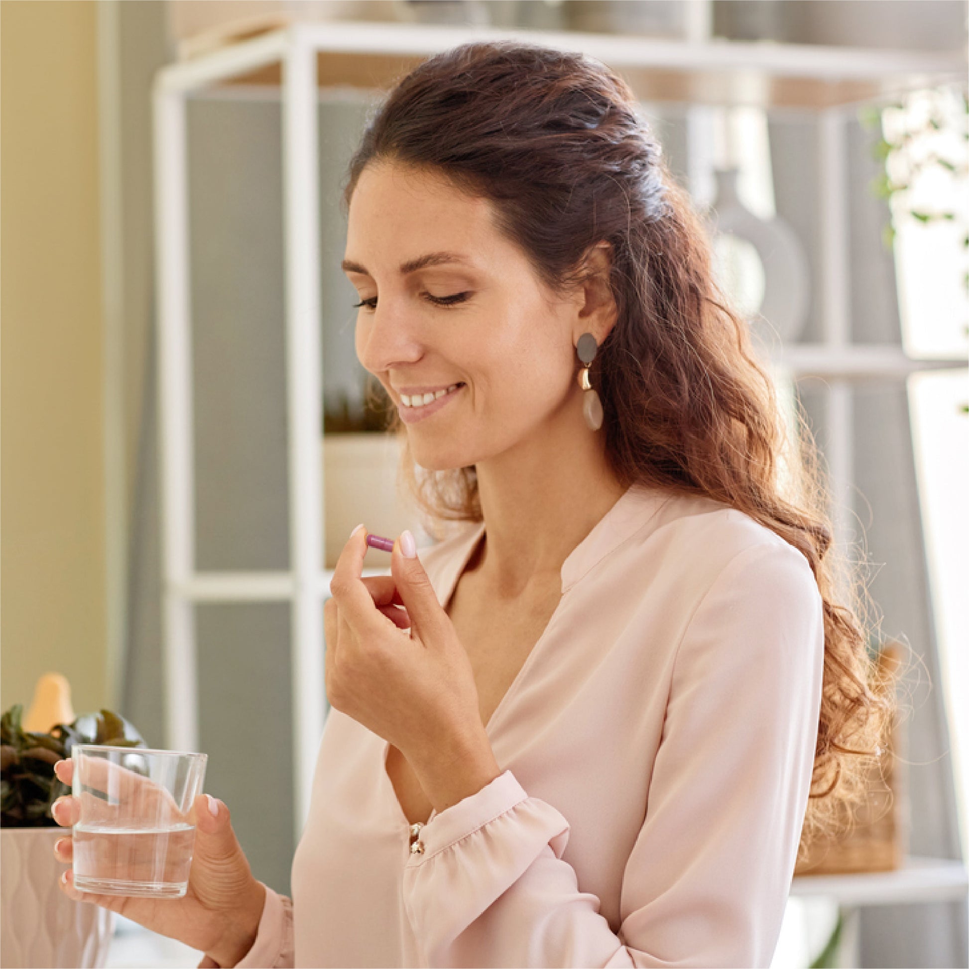 Cranberry PACs Supplement - Utiva USA