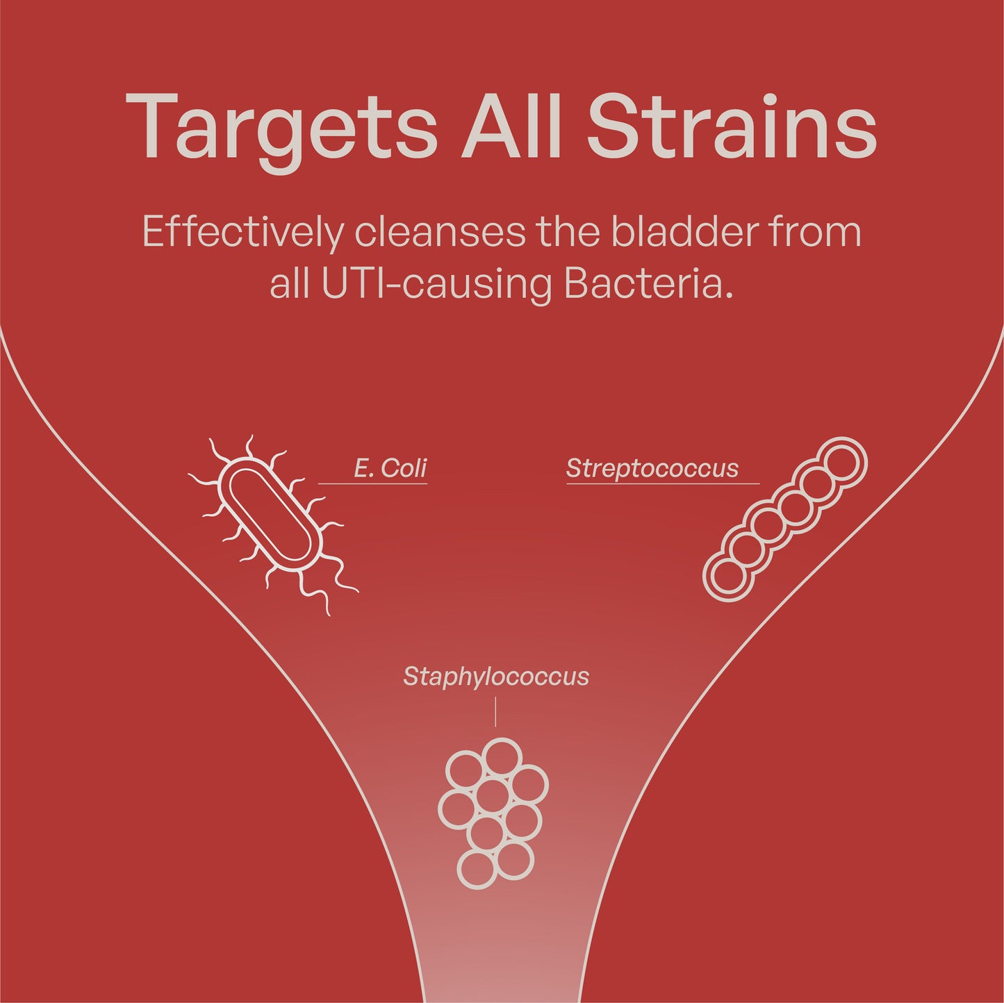 Cranberry PACs Supplement - Utiva USA