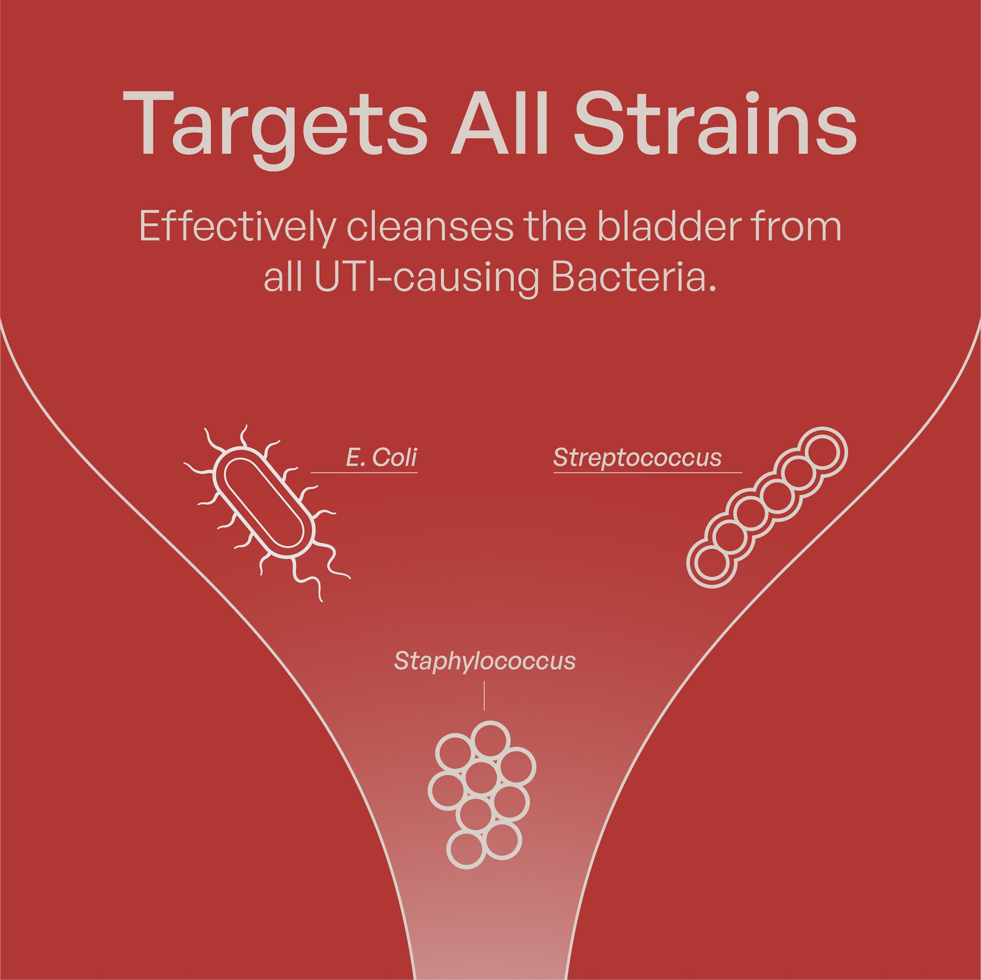 Cranberry PACs Supplement - Utiva USA