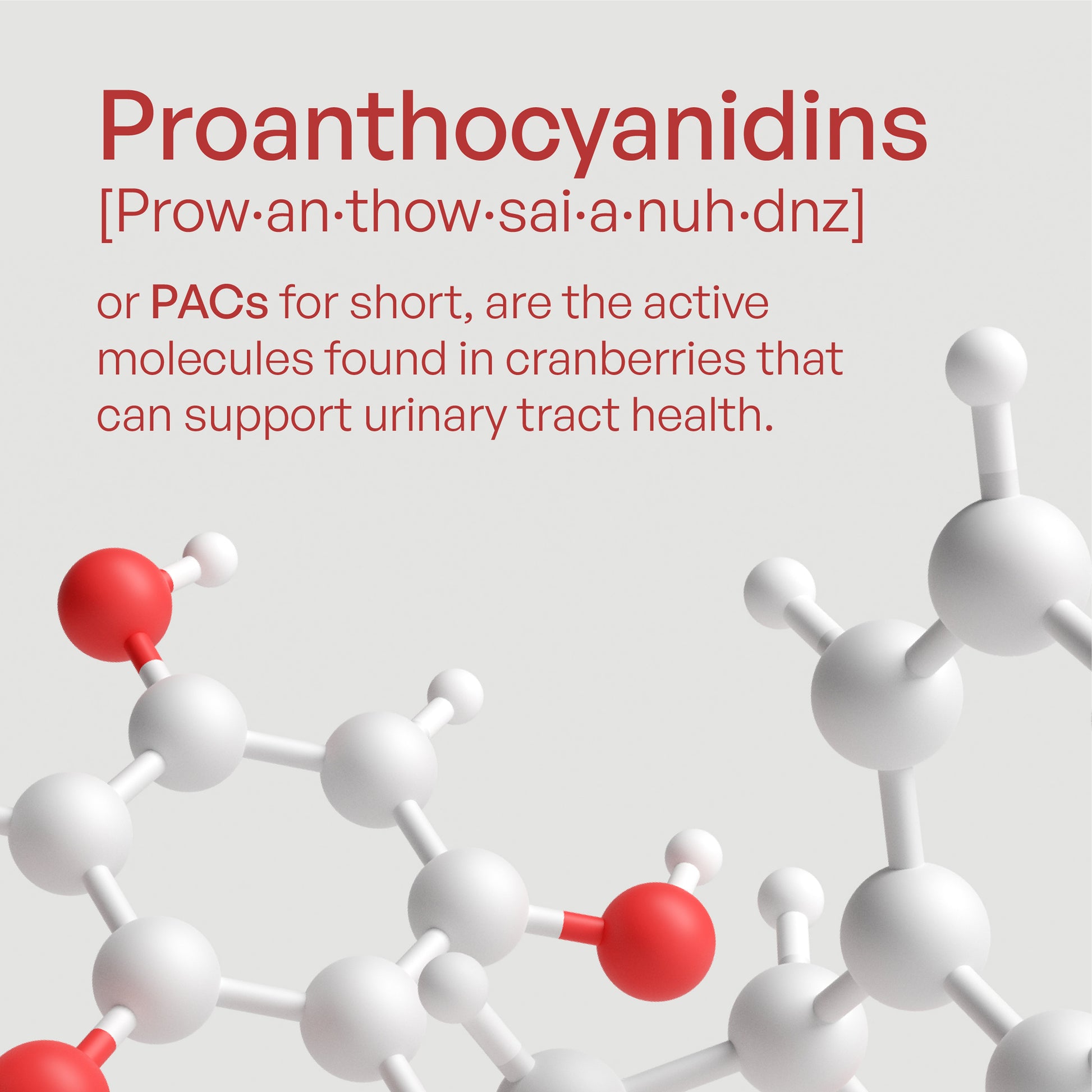 Cranberry PACs Supplement - Utiva USA