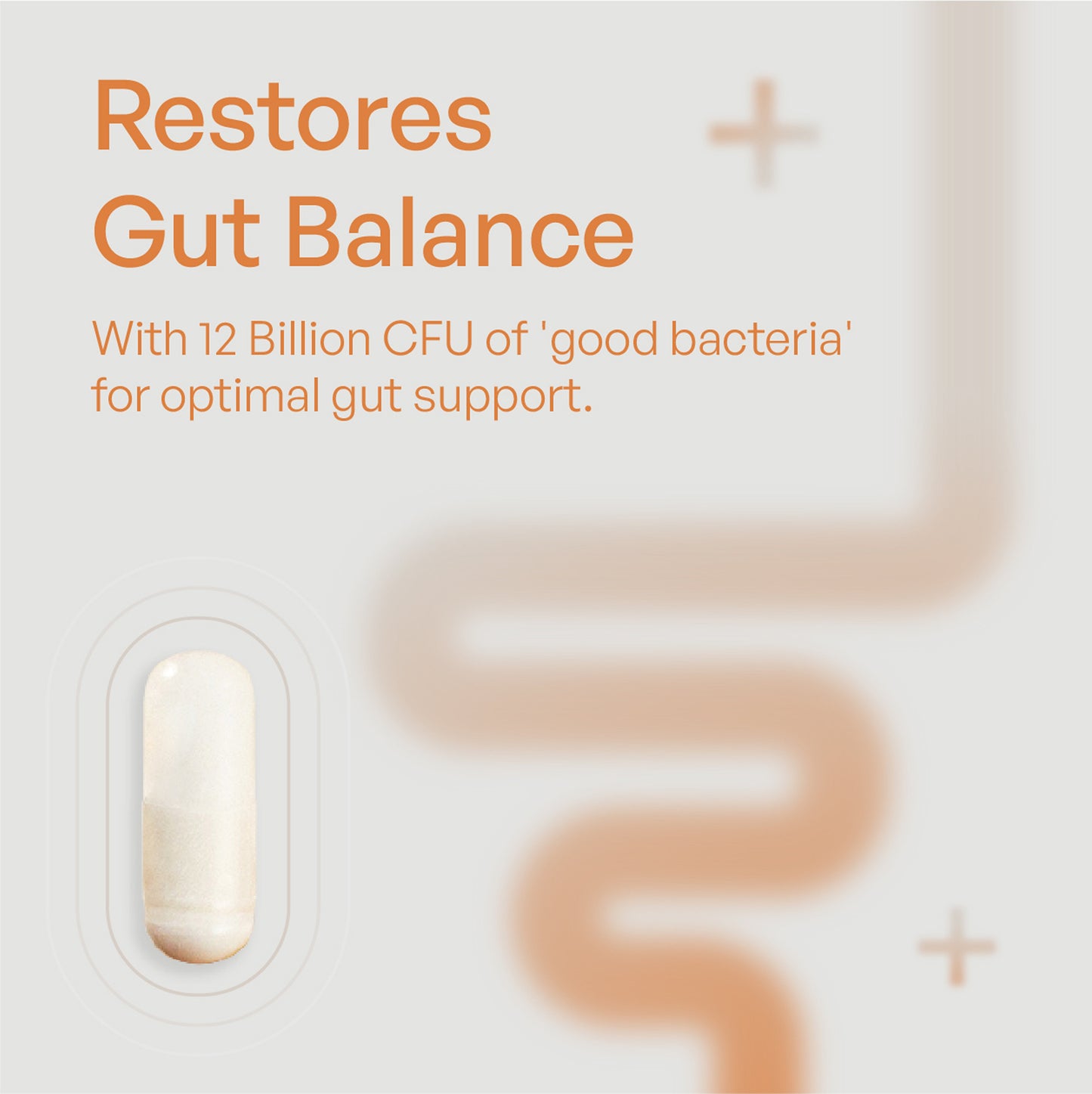 Probiotic Supplement - Utiva USA